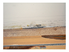 Mold behind molding of a slab construction