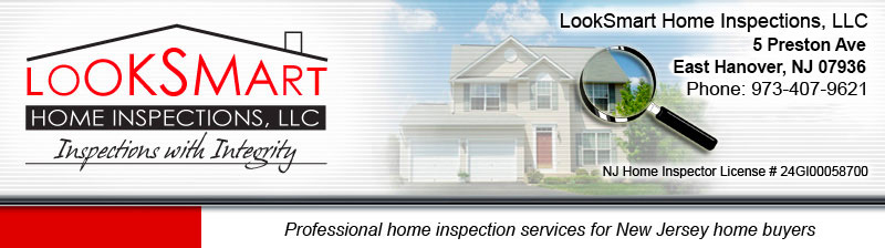 Looksmart Home Inspections, LLC - John Martino - Certified, Professional Home Inspector - New Jersey Home Buyers - ASHI - 5 Preston Ave, East Hanover, NJ 07936, 973-407-9621, 973-9839475