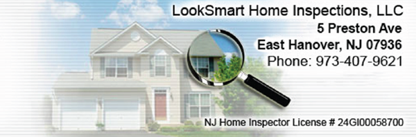 LookSmart Home Inspections